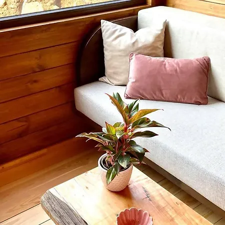 Mountain Eco Shelter 7 Фуншал