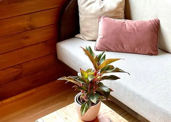 Mountain Eco Shelter 7 Funchal (Madeira)