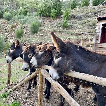 Mountain Eco Shelter 7 Campismo de Luxo *